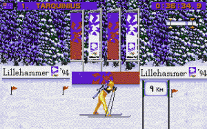 Winter Olympics - U.S. Gold - Amiga, DOS, Game Gear, Genesis, SEGA Master System, SNES