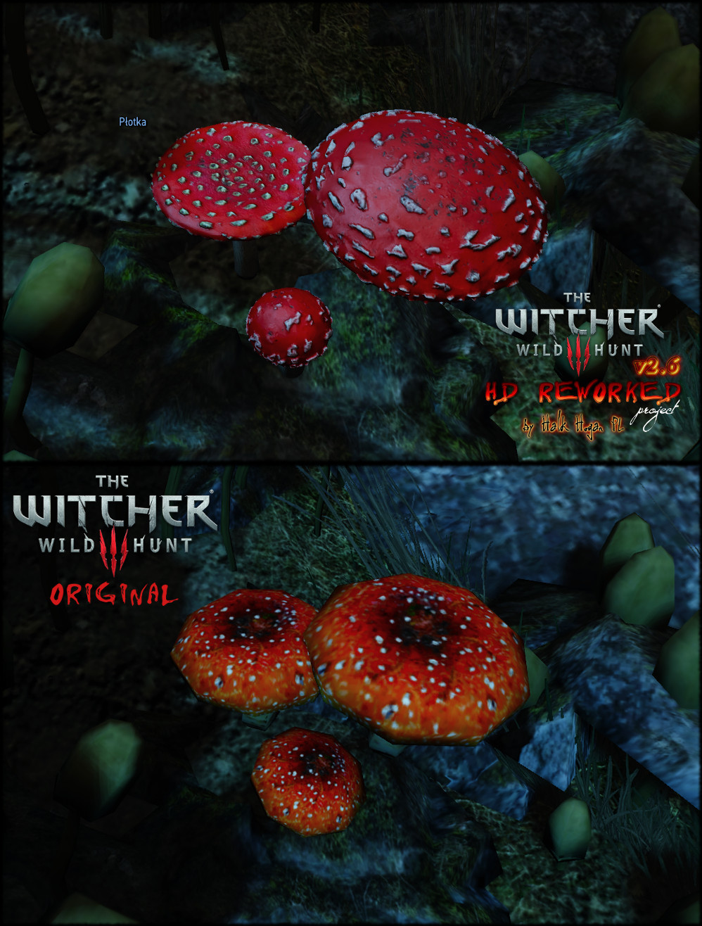 The Witcher 3